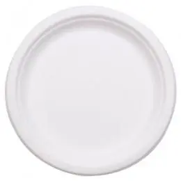 9" Bagasse Plate White