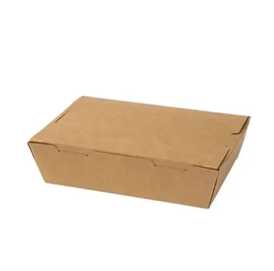 Brown Salad Box (L) 