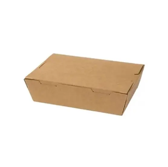 Brown Salad Box (M) 